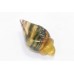 Natural Multi color Fluorite Stone Trumpet Home Decorative paper weight Gift